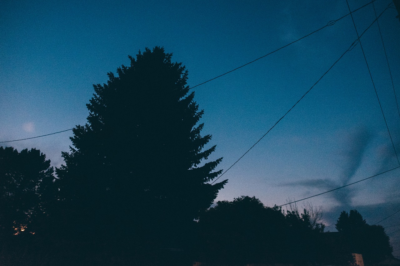 株洲夜歌子，城市夜晚的旋律与独特风情