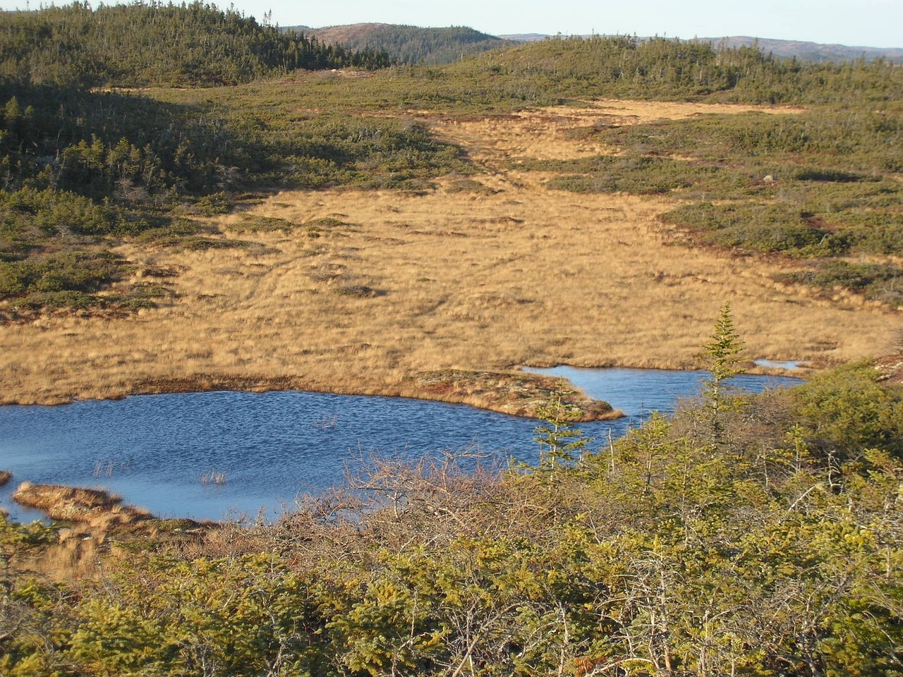 湖州环保深化检查，共建绿色家园，环境治理再升级