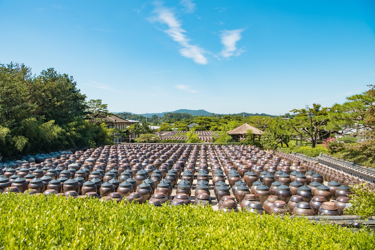 最新毕节农村道场的发展与变迁概述