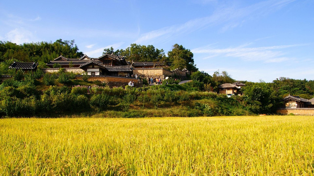 最新成都乡镇赶场日期揭秘，乡村集市之美探寻