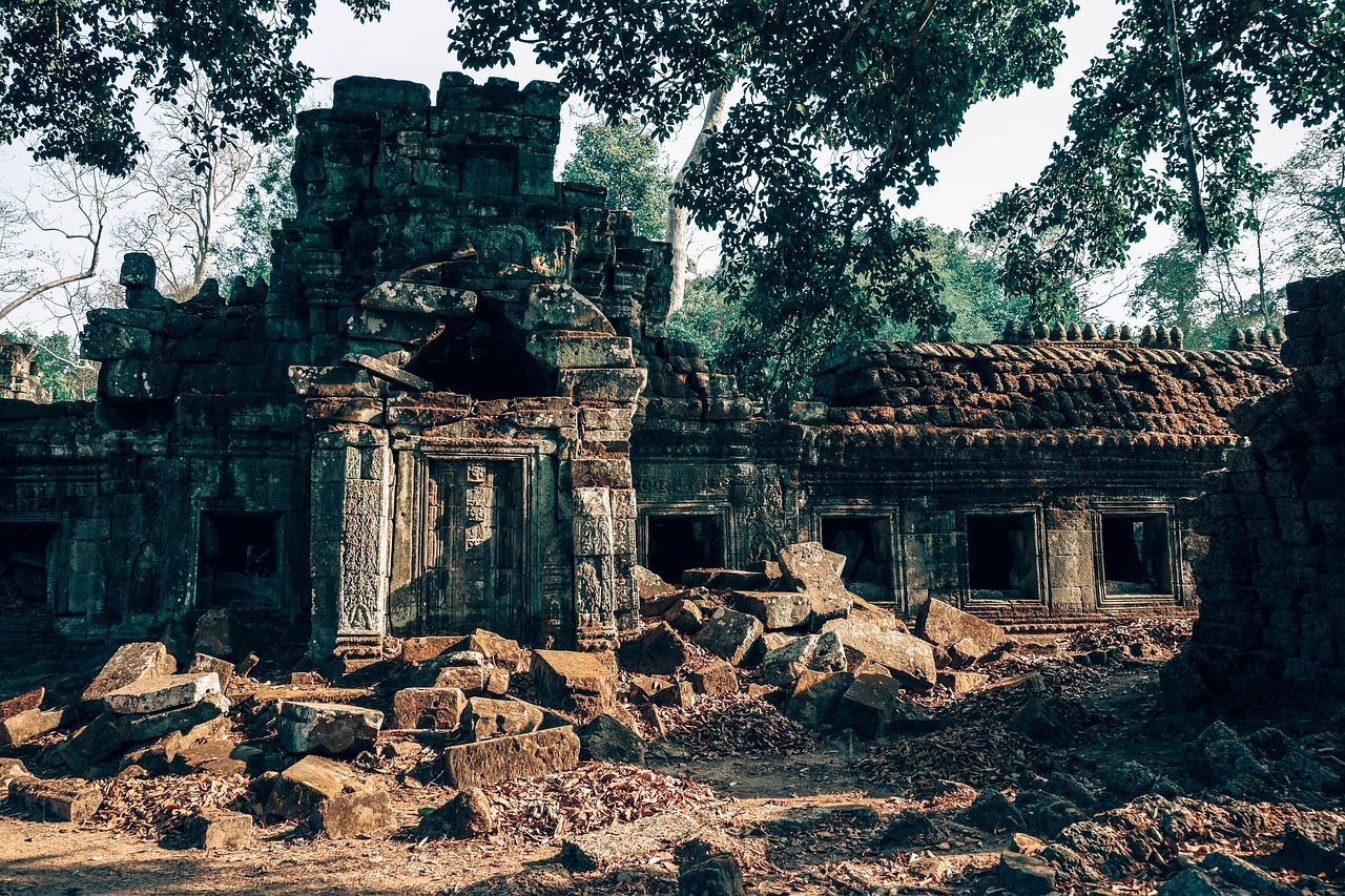 最新地址wwwcijilu探索之旅，揭开未知世界的神秘面纱